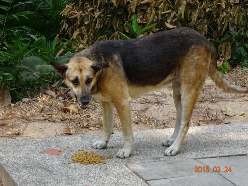 post-35489-0-13316100-1427219106_thumb.j