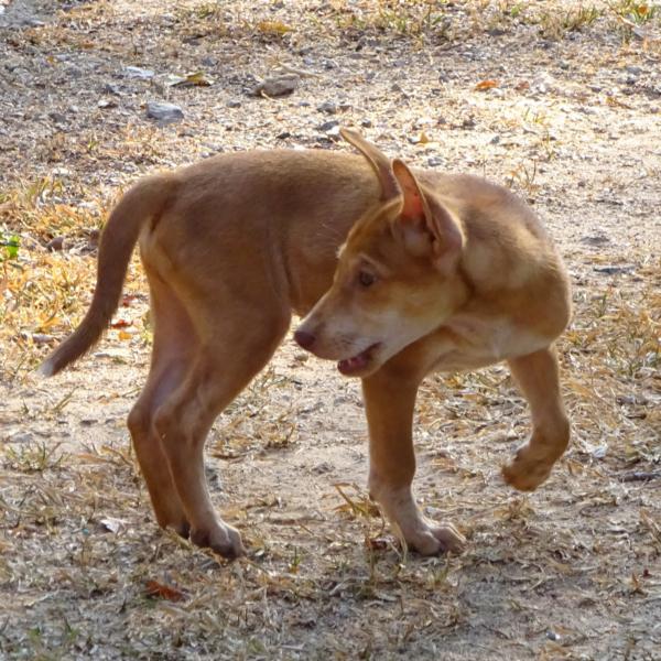 post-35489-0-24900600-1427218269_thumb.j