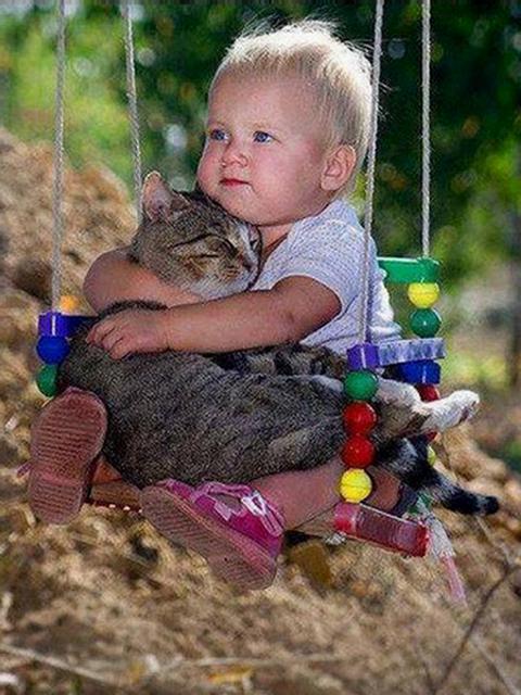 post-35489-0-55704400-1425189450_thumb.j