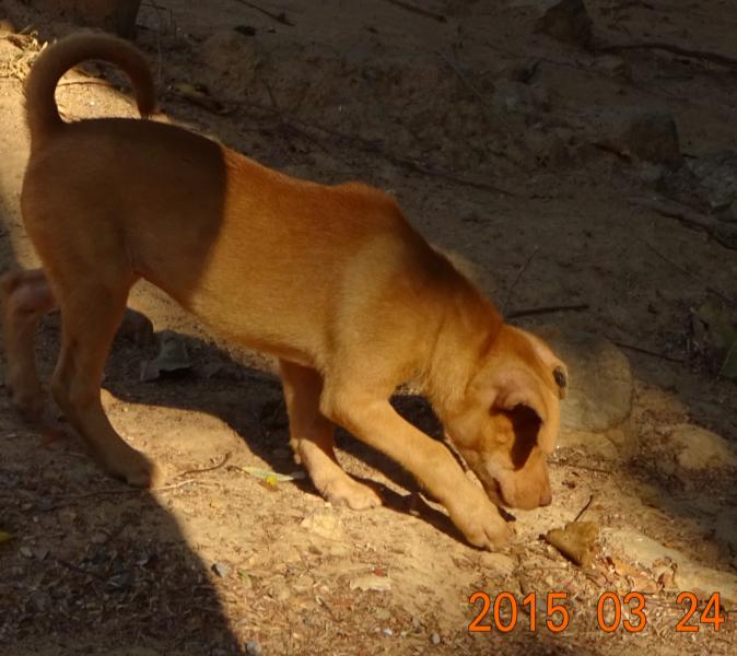 post-35489-0-63412200-1427218234_thumb.j