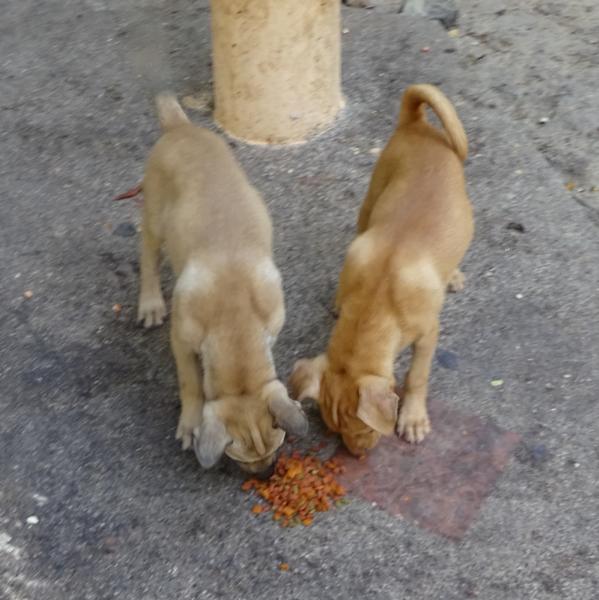 post-35489-0-71838900-1427218758_thumb.j