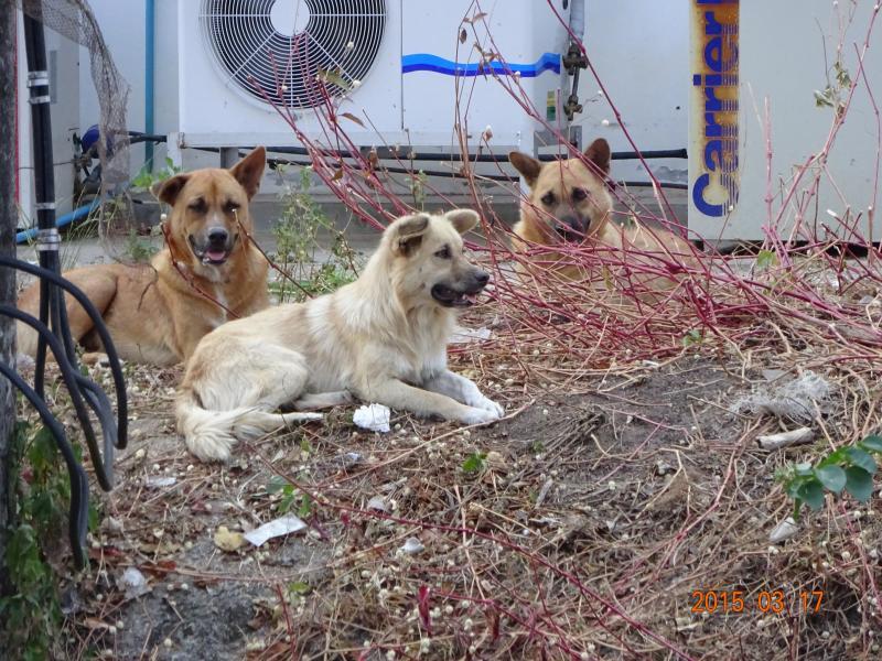 post-35489-0-81873000-1427030964_thumb.j