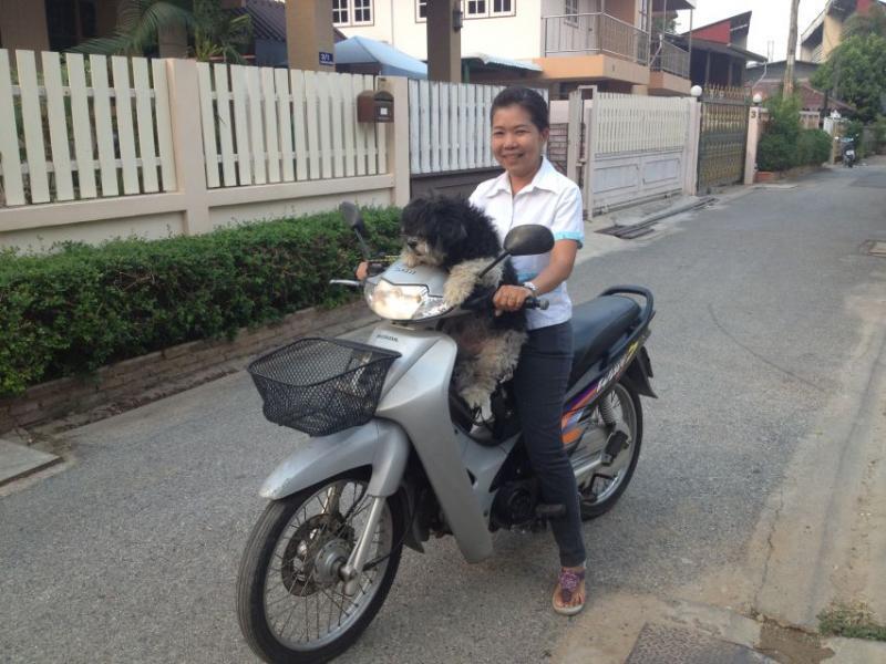 post-62796-0-93376800-1426257735_thumb.j