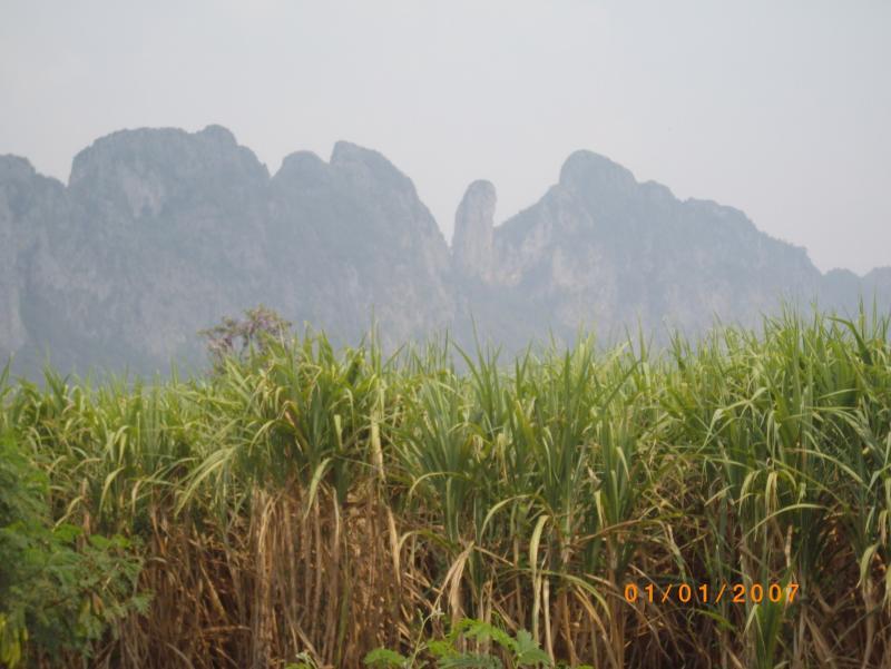 post-87221-0-38557000-1427598297_thumb.j