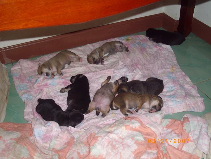 post-87221-0-42347200-1427598139_thumb.j