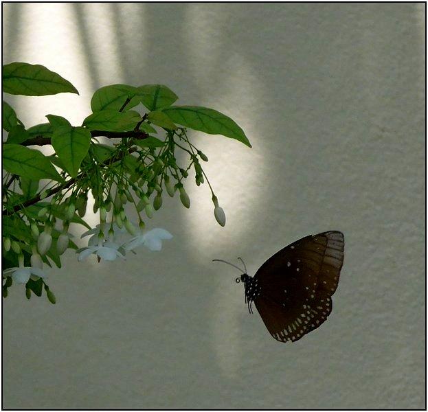 post-9958-0-57510800-1425262812_thumb.jp