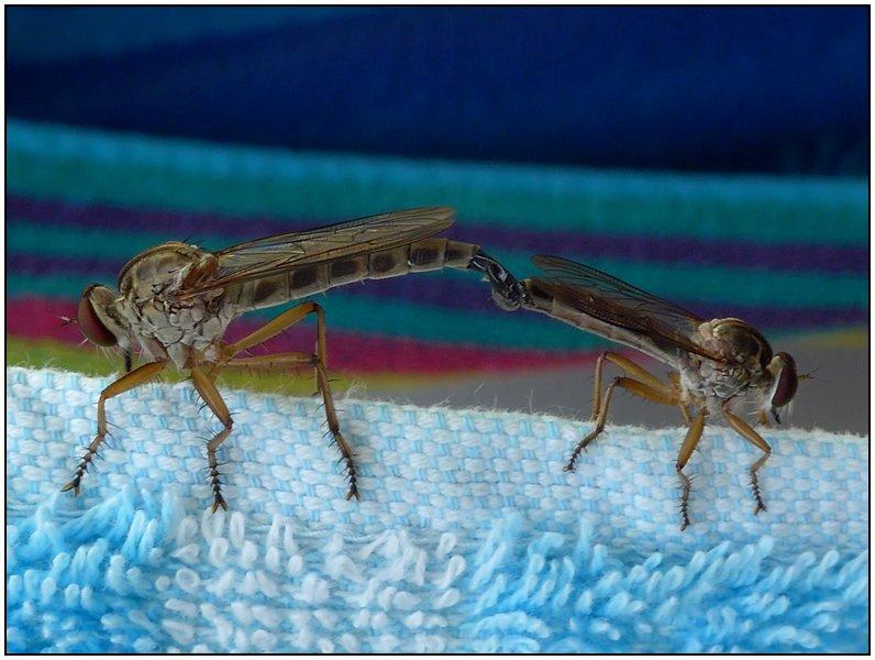 post-9958-0-72517500-1425380349_thumb.jp