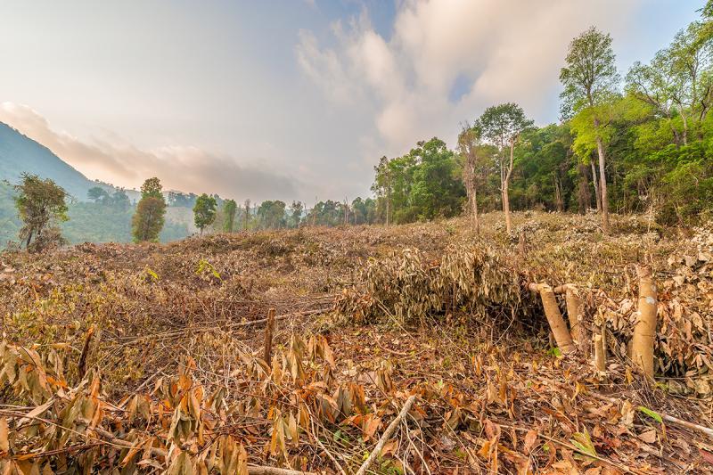 post-118979-0-60271500-1458256676_thumb.