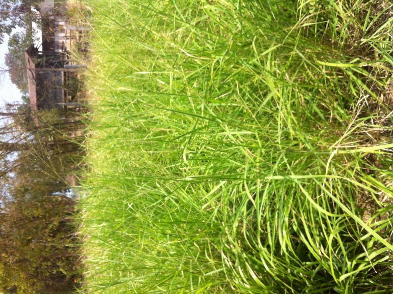 post-130198-0-30950300-1456985369_thumb.