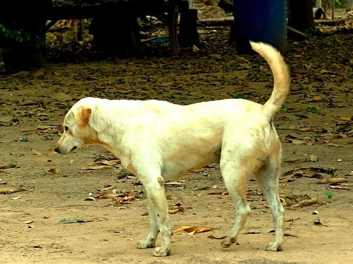 post-140056-0-55713000-1457755639_thumb.