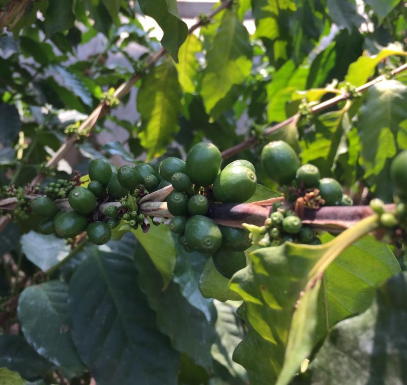 post-14625-0-09809800-1456922725_thumb.j