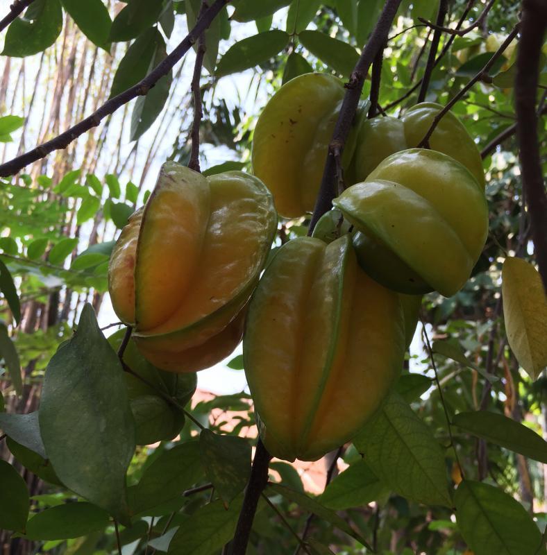 post-14625-0-14091300-1456922714_thumb.j