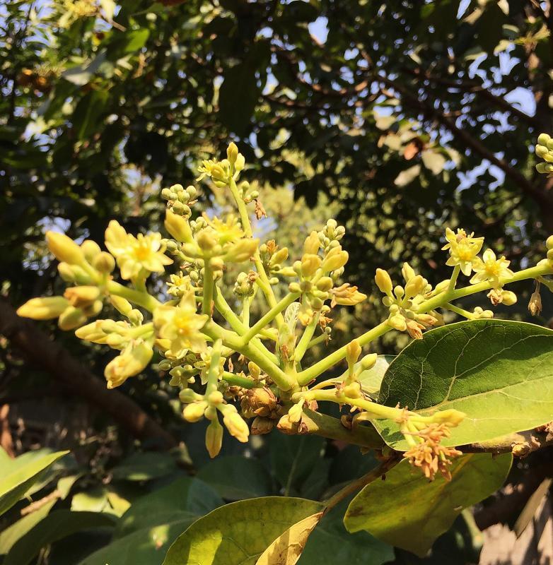 post-14625-0-41678100-1456922686_thumb.j