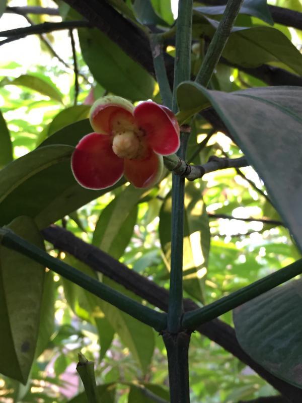 post-14625-0-49905400-1456922619_thumb.j