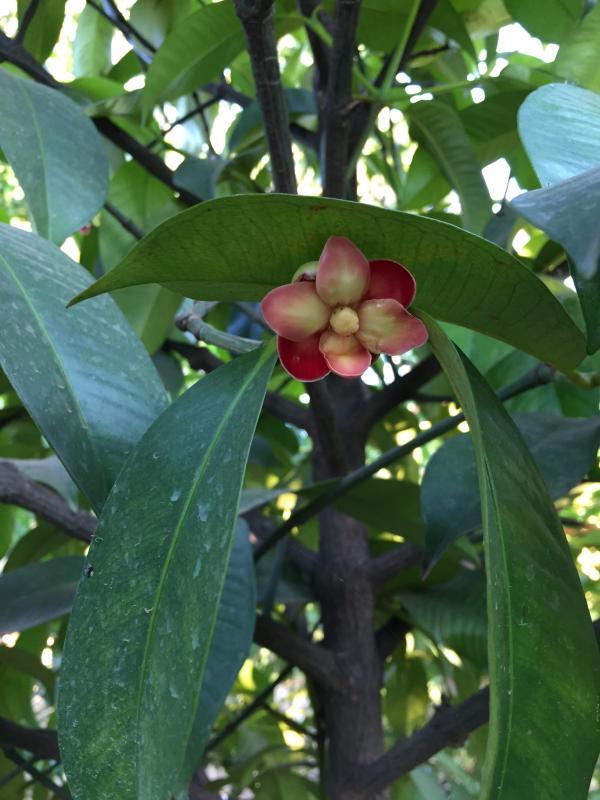 post-14625-0-87448000-1456922614_thumb.j