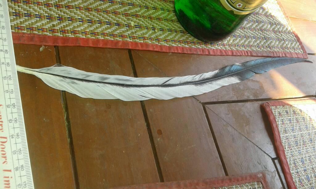 post-150623-14585505820944_thumb.jpg