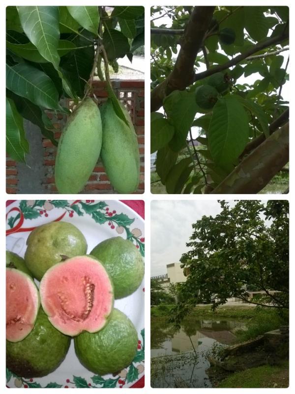 post-177483-0-81998600-1457925637_thumb.