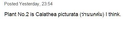 post-180718-0-84652500-1456839854_thumb.
