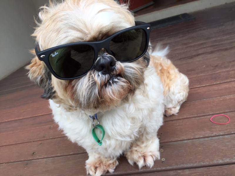 post-186435-0-41136400-1459332412_thumb.