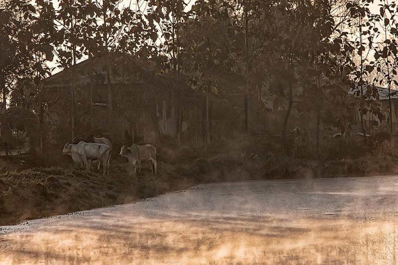 post-1983-0-47656500-1457000388_thumb.jp