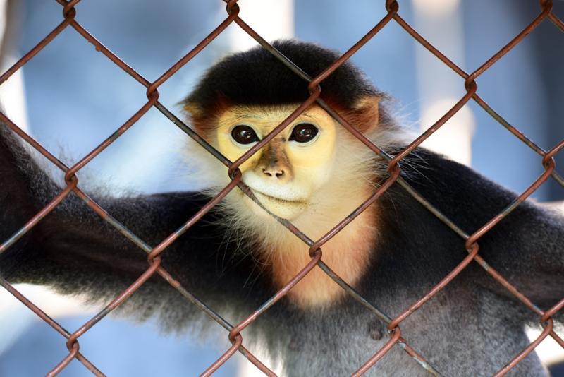 post-198807-0-22246900-1458819480_thumb.