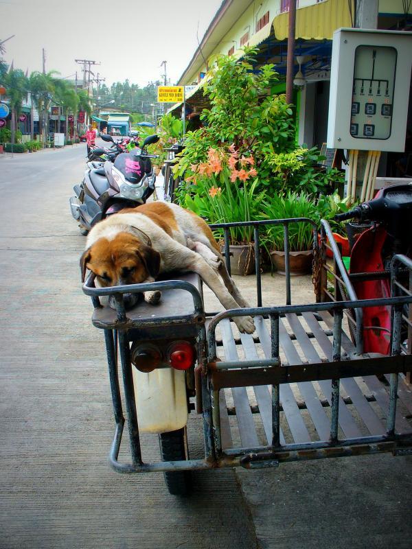 post-231841-0-01711800-1459236606_thumb.