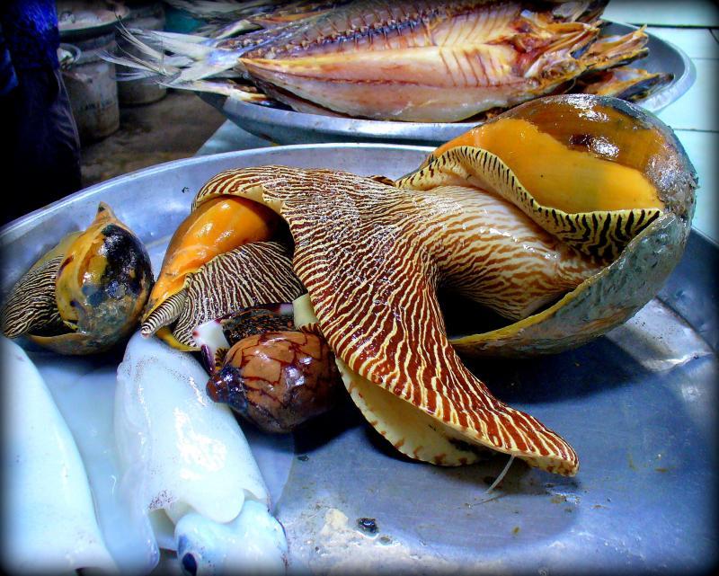 post-231841-0-18866700-1459231730_thumb.