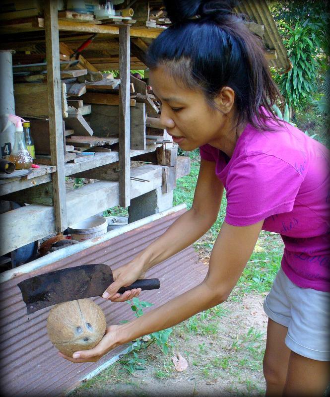 post-231841-0-43761400-1459234581_thumb.