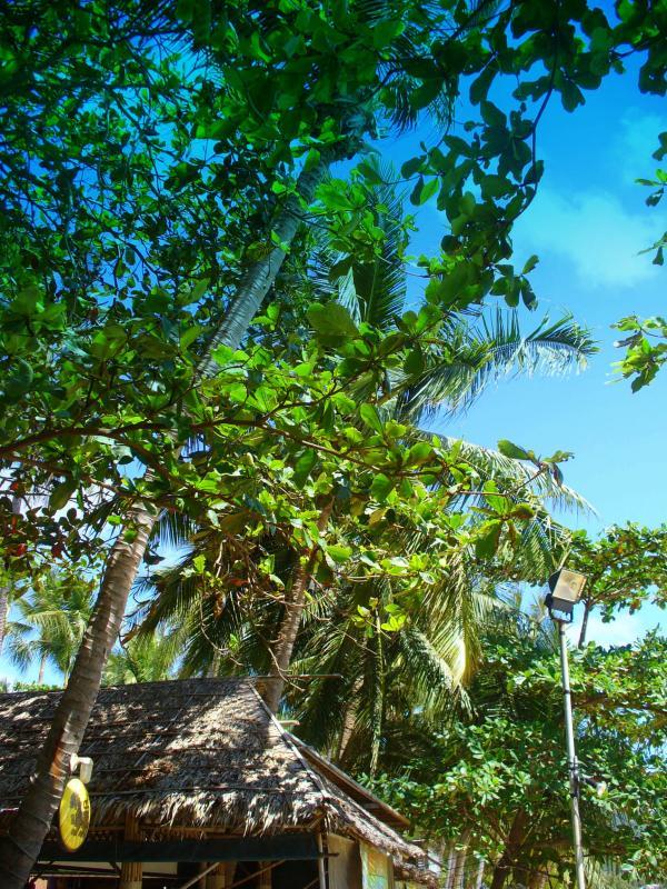 post-231841-0-70681900-1457869284_thumb.