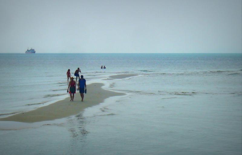 post-231841-0-74266700-1457710228_thumb.