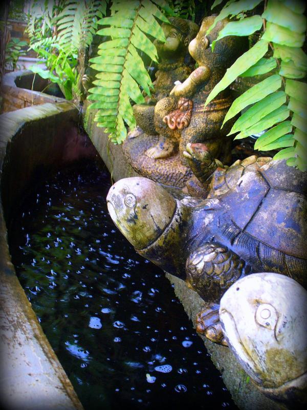 post-231841-0-87665700-1459243984_thumb.