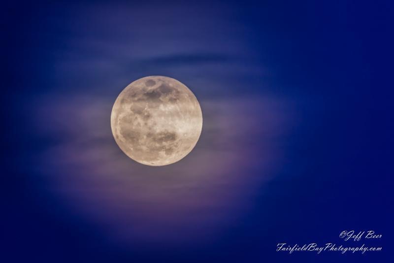 post-245544-0-33504400-1458838325_thumb.