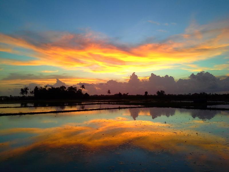 post-251892-0-95722000-1457264050_thumb.