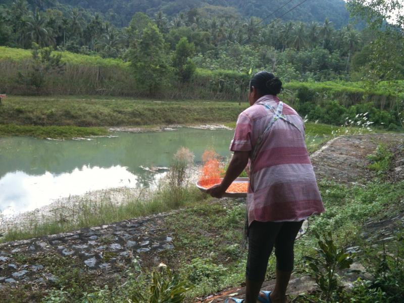 post-254530-0-33816700-1458961263_thumb.