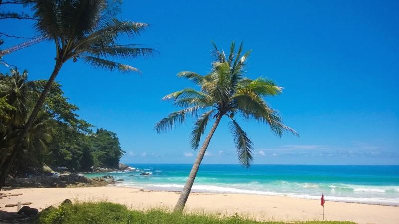 post-255444-0-10491000-1458391193_thumb.