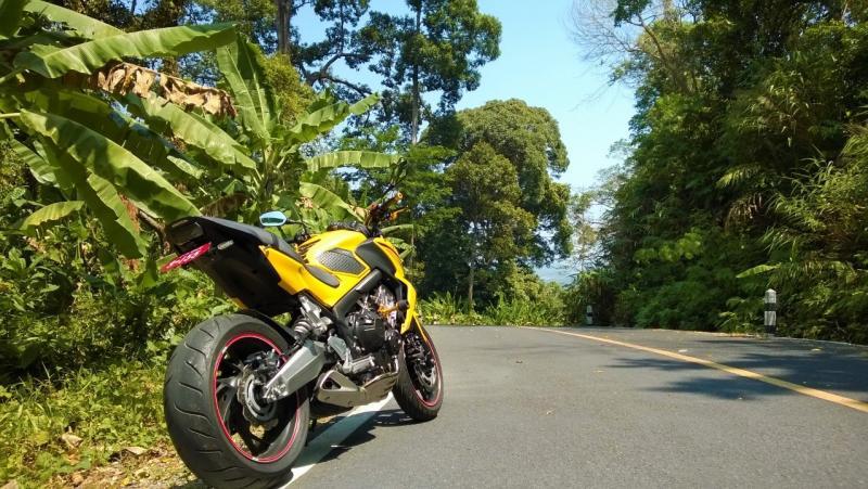 post-255444-0-16999900-1457536769_thumb.