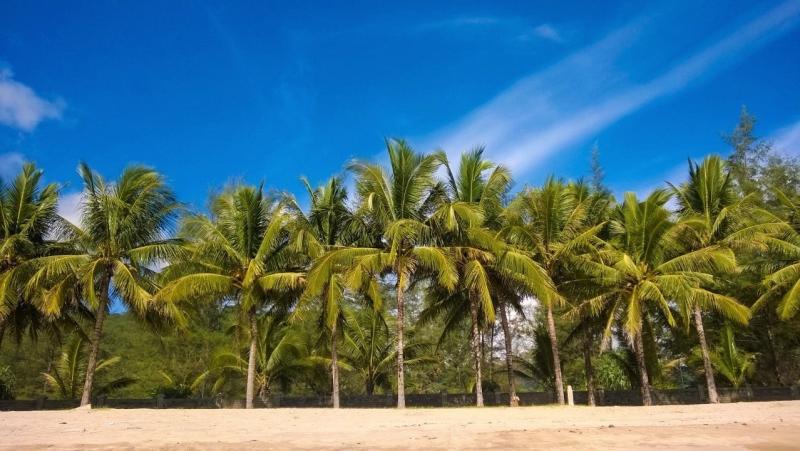 post-255444-0-39427200-1459069022_thumb.