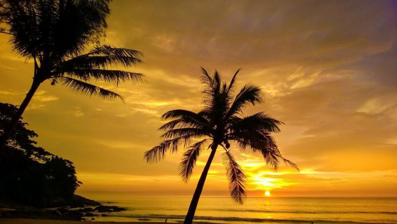 post-255444-0-70464200-1458391216_thumb.