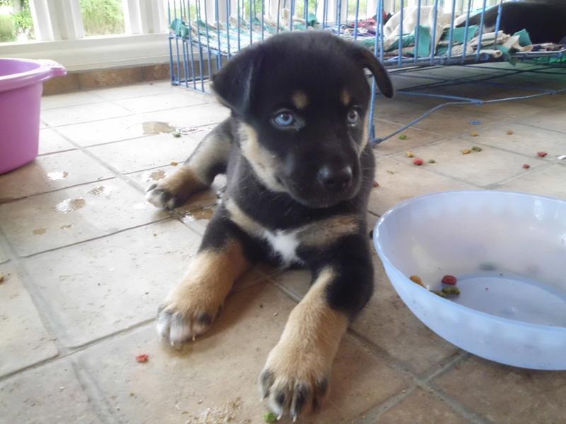 post-5469-0-13979400-1457858595_thumb.jp