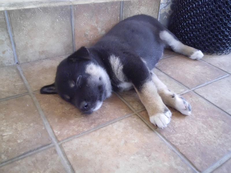 post-5469-0-69794200-1457338444_thumb.jp