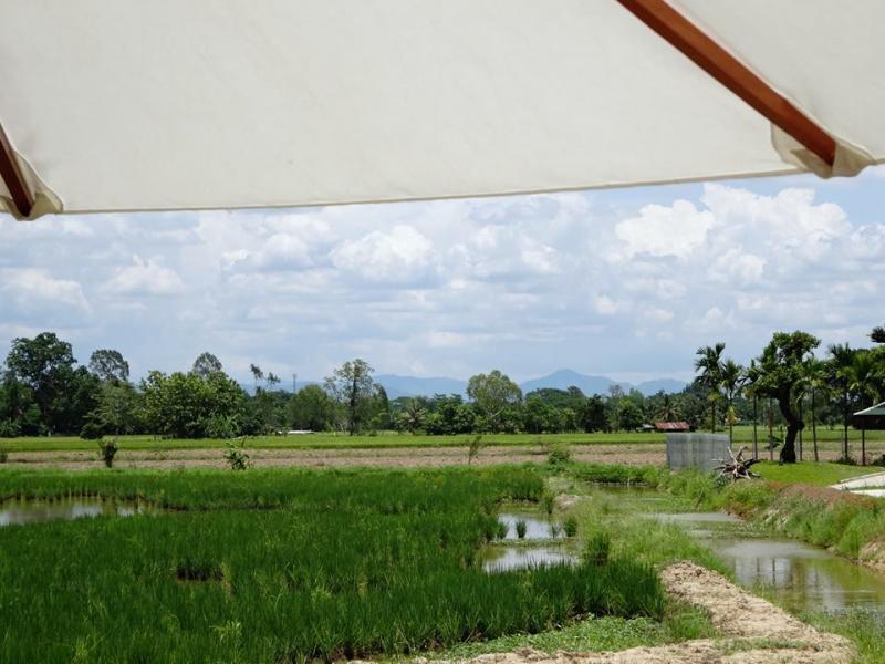 post-64232-0-69873100-1457574389_thumb.j