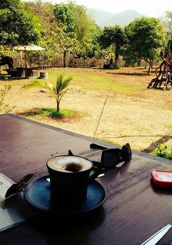 post-64232-0-90856500-1457574451_thumb.j