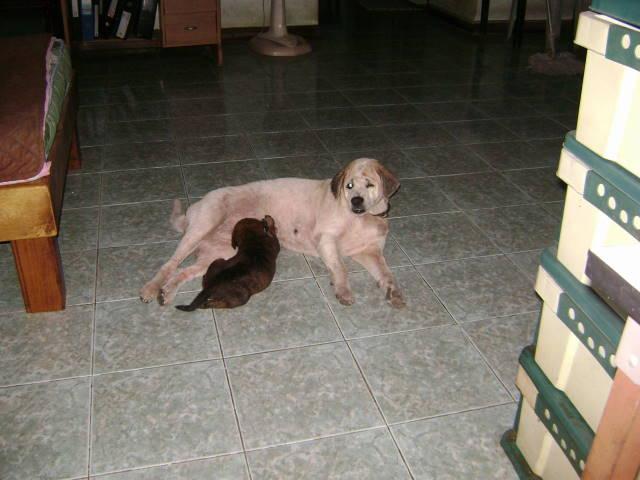 post-77463-0-44867700-1458867167_thumb.j