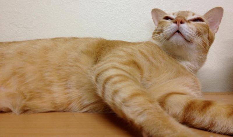 post-7852-0-69541700-1457983908_thumb.jp