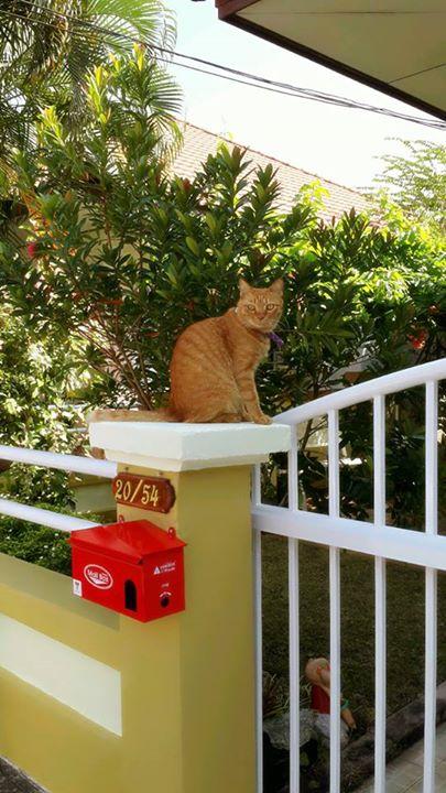 post-7852-0-85528800-1458210960_thumb.jp