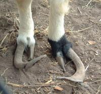 post-22225-1177669714_thumb.jpg