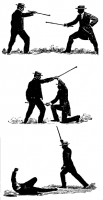 post-13995-1207663275_thumb.png