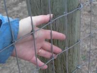 post-25665-1207386597_thumb.jpg