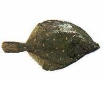 post-26634-1208756292_thumb.jpg