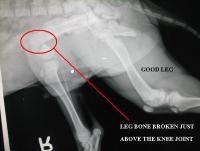 post-31633-1240542122_thumb.jpg